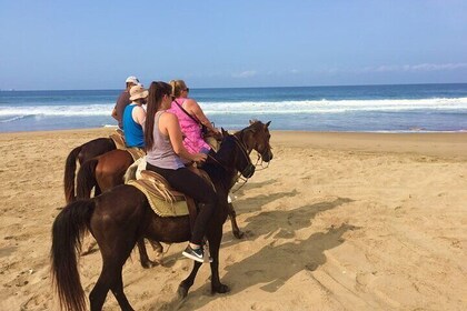 Horseback Riding Playa Larga