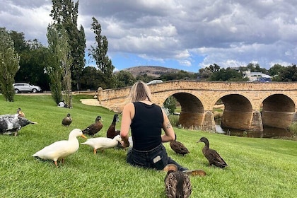 Private Winery Tour from Hobart