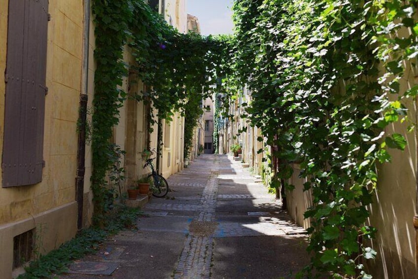 Arles Private Historic Walking Tour