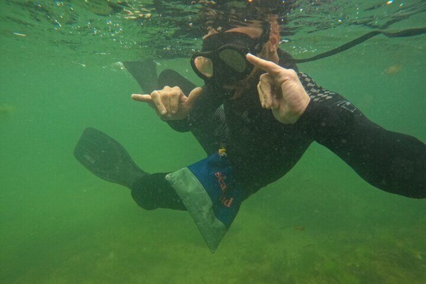 Snorkeling the African Sea Forest in Cape Town