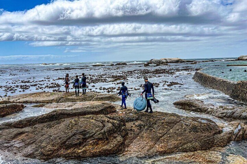 Snorkeling the African Sea Forest in Cape Town