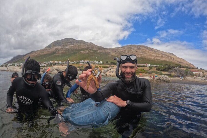 Snorkeling the African Sea Forest in Cape Town