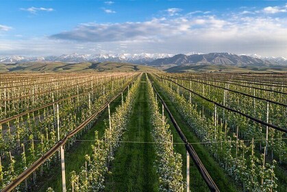Big Almaty Lake and Legandary Almaty Apple Garden