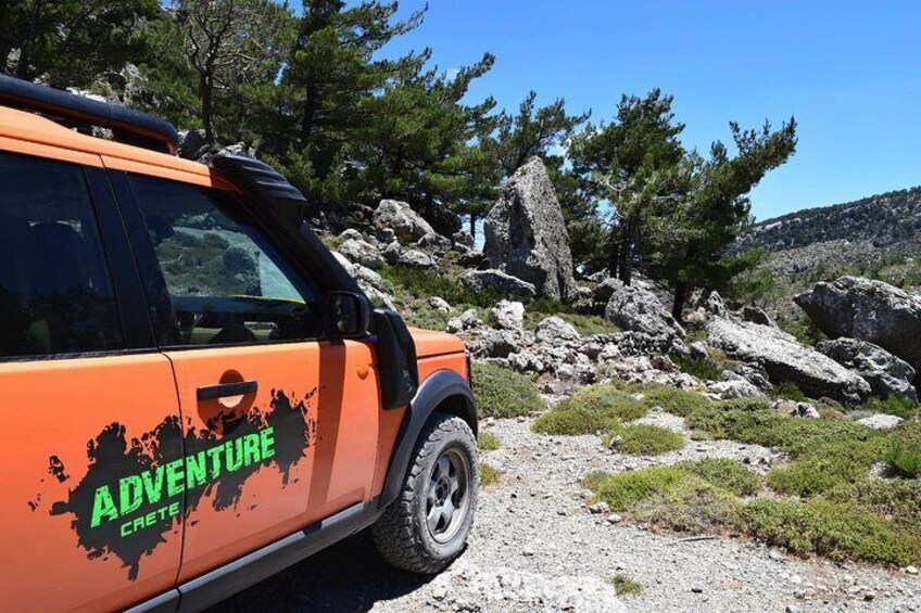 Our Land Rovers out in the green