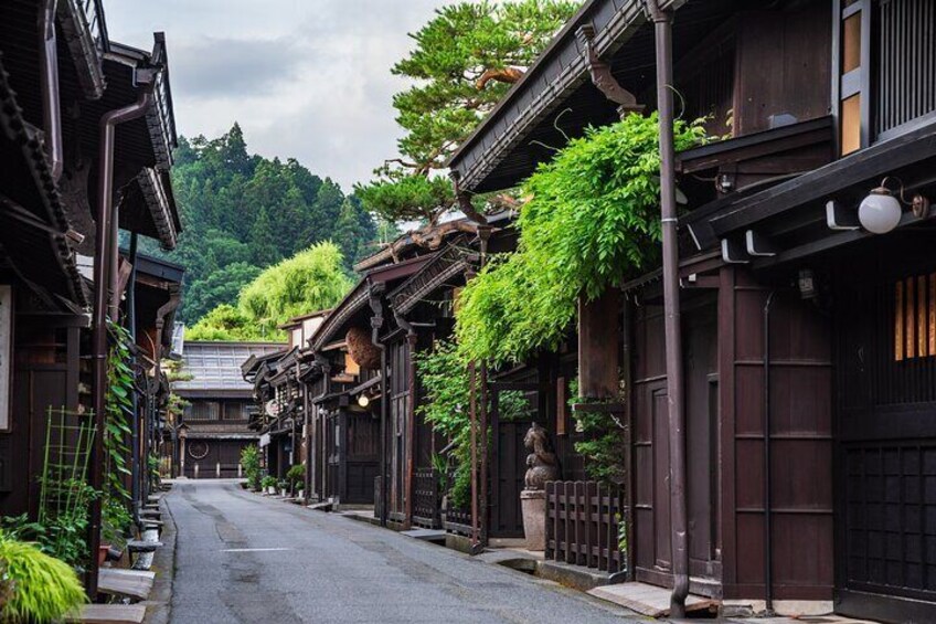 Takayama Local Cuisine, Food & Sake Cultural Tour with Nationally-Licensed Guide