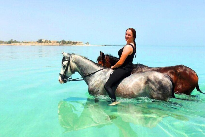 Horse Ride & Swimming in the Red Sea ( Sea & Desert ) - Hurghada