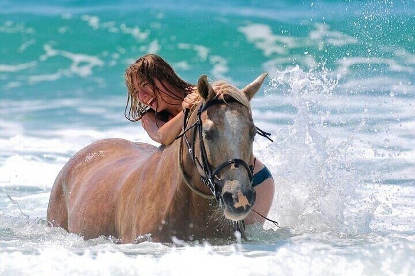 Horse Ride & Swimming in the Red Sea ( Sea & Desert ) - Hurghada