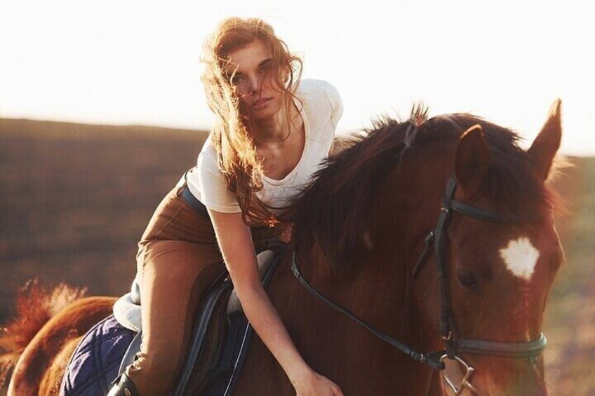 Horse Ride & Swimming in the Red Sea ( Sea & Desert ) - Hurghada