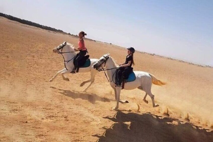 Horse Ride & Swimming in the Red Sea ( Sea & Desert ) - Hurghada