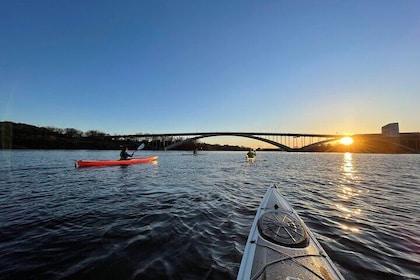 Self guided Kayak tour in Central Stockholm Eden Kayak and SUP