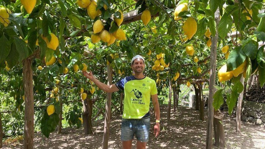 Lemon Trail : Lemon Tour with Tasting