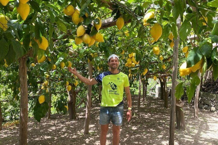 Lemon Trail : Lemon Tour with Tasting