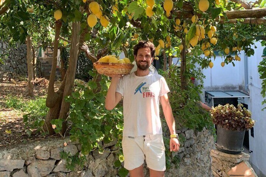Lemon Trail : Lemon Tour with Tasting