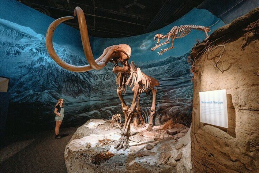9H Banff Tour to Royal Tyrell Museum and Bad Lands