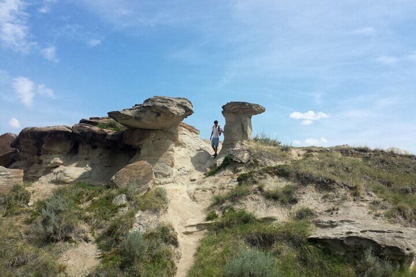 9H Banff Tour to Royal Tyrell Museum and Bad Lands