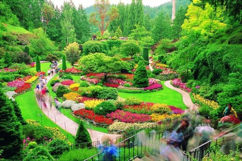 1-Day Victoria City Tour From Vancouver [Silver] Bus Tour