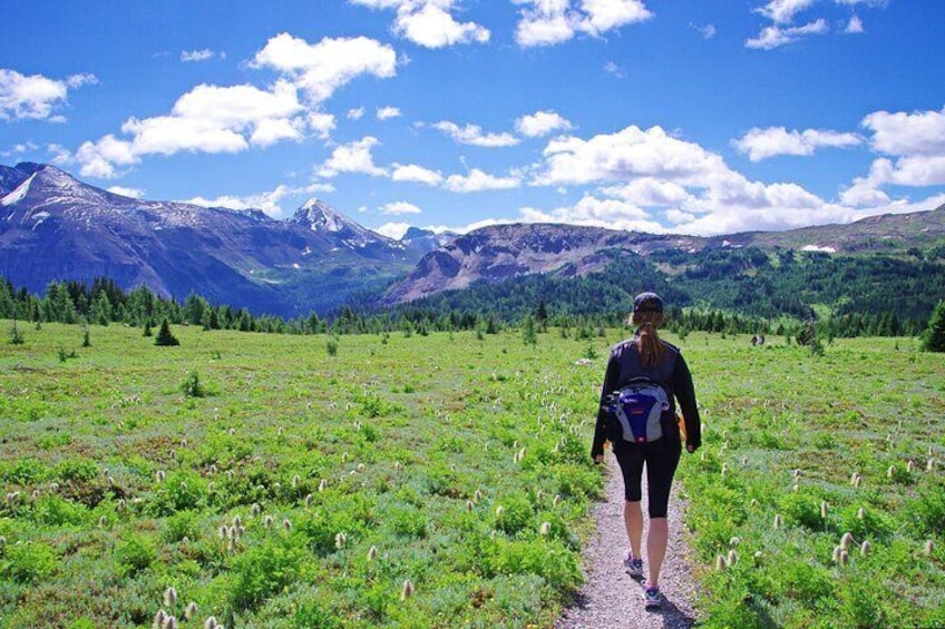 Banff: Private Guided Nature Walk - 2H