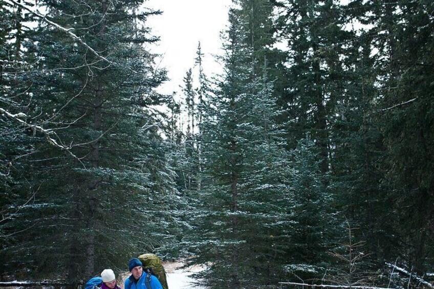 Banff Nature Walk in 2H Private Guided Tour