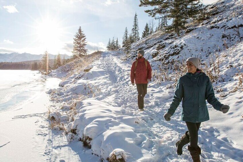 Banff Nature Walk in 2H Private Guided Tour