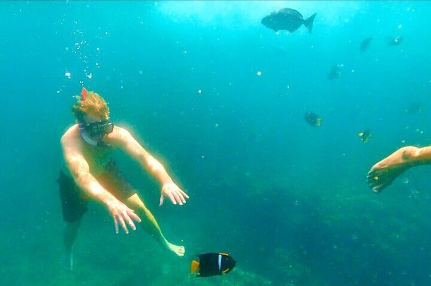 Los Arcos 5 islands Snorkeling Cliff Jumping and Hidden Beach