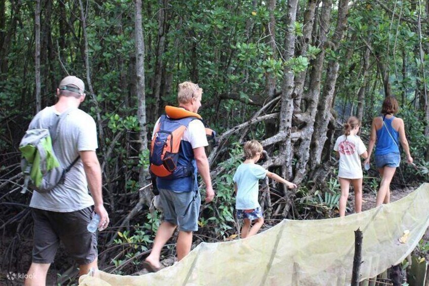 Monkey Island and Nature Escape Ecotour