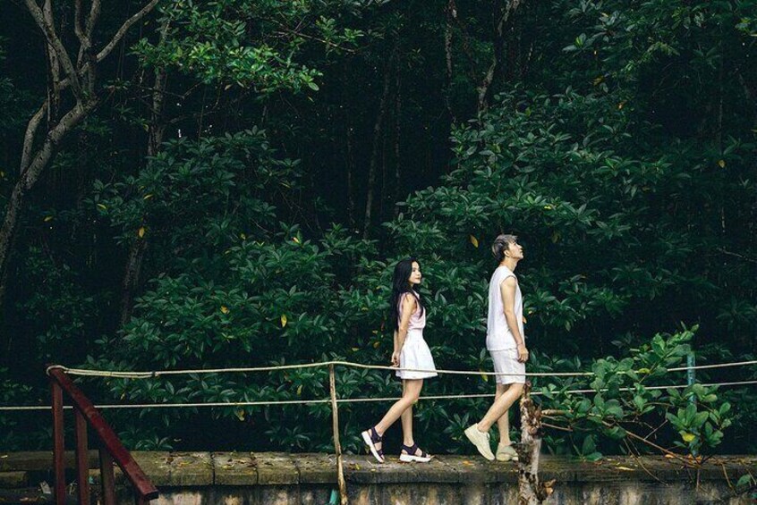 Monkey Island and Nature Escape Ecotour