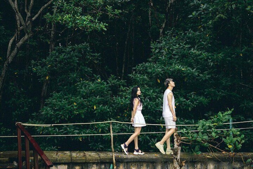 Monkey Island and Nature Escape Ecotour