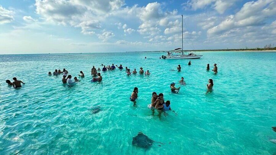 Cozumel Catamaran Snorkeling Activity at Top Reefs with Open Bar
