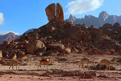 3 Day Archaeological Tour At Jabal Al Lawz