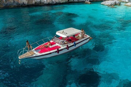 From Cala Gonone: boat tour in the Gulf of Orosei