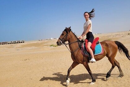 One Hour Horseback Riding Journey Through the Desert - Marsa Alam