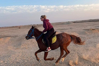 One Hour Horseback Riding Journey Through the Desert - Marsa Alam