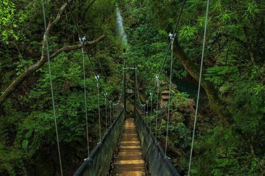 3-in-1 Rincon de la Vieja National Park Nature Day Tour