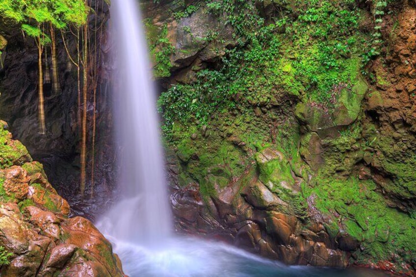 3-in-1 Rincon de la Vieja National Park Nature Day Tour