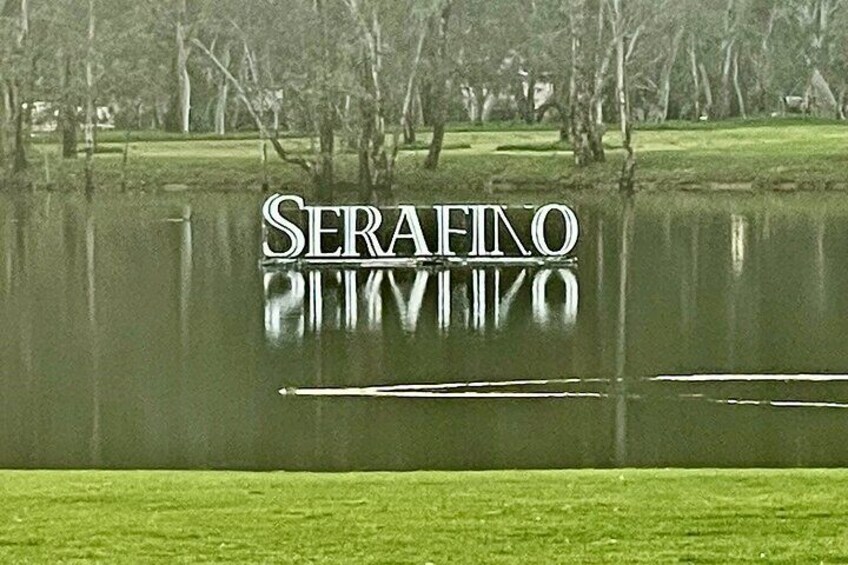 McLaren Vale Private Group Wine Tour