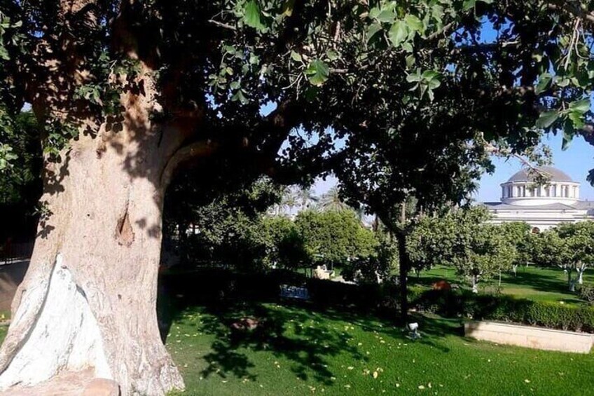 Jericho, Jordan River and Dead Sea Full Day Tour