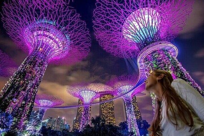 Singapore guidet nat tur med 2 lys shows og flodkrydstogt