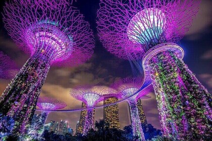 Private Night Tour with Transportation & Singapore River Cruise