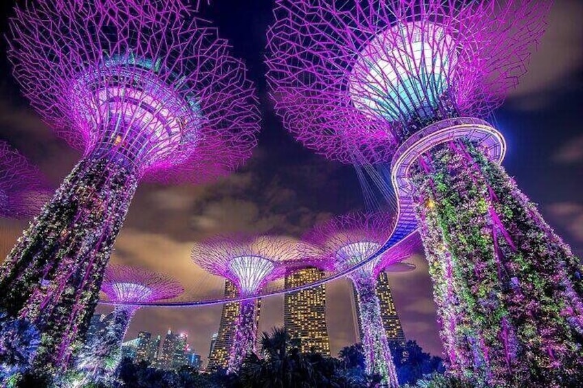 Private Singapore Night Tour with Transportation