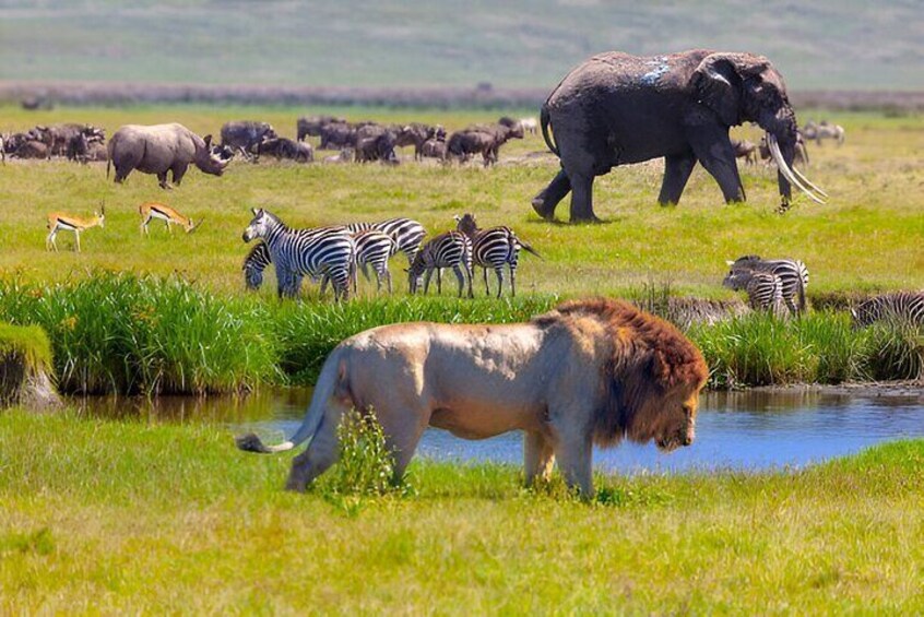 A Day Trip to Ngorongoro Crater