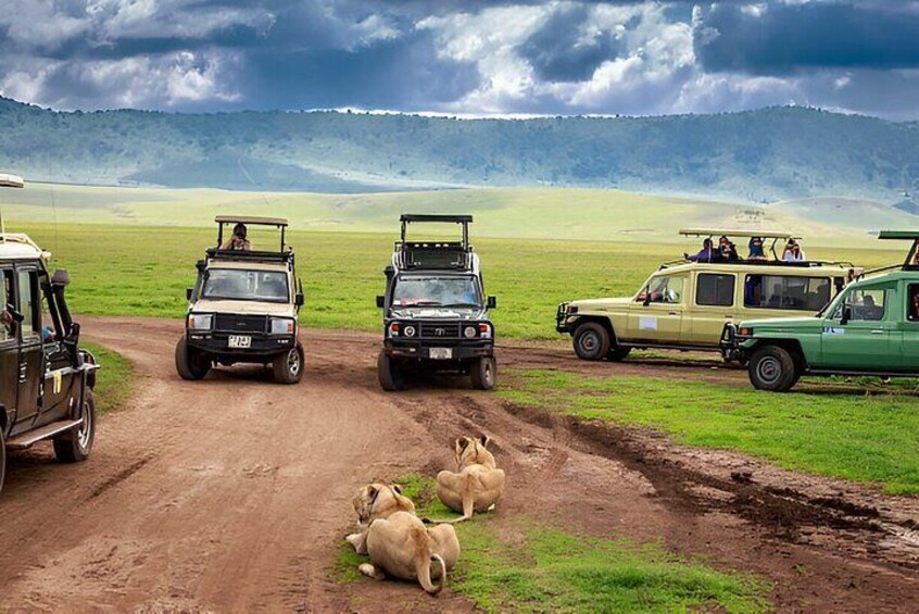 A Day Trip to Ngorongoro Crater