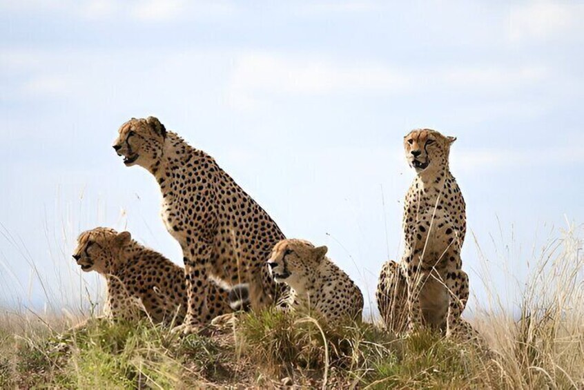A Day Trip to Ngorongoro Crater