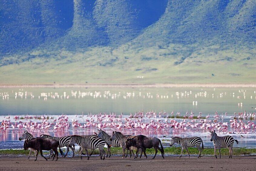 A Day Trip to Ngorongoro Crater