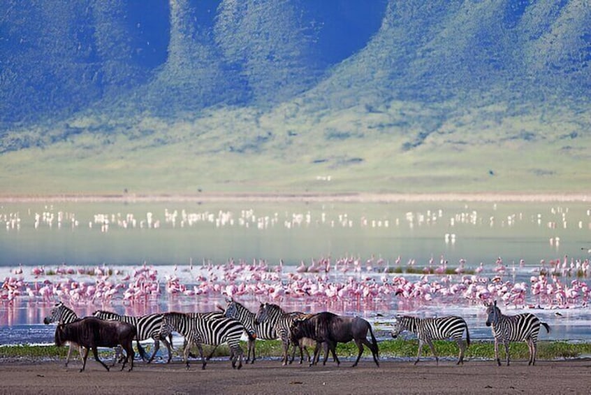 A Day Trip to Ngorongoro Crater