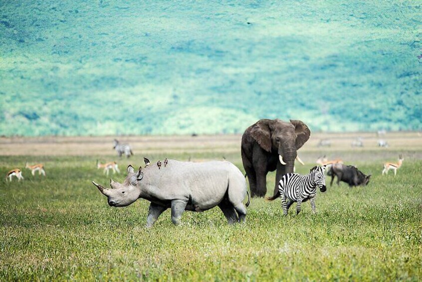 A Day Trip to Ngorongoro Crater
