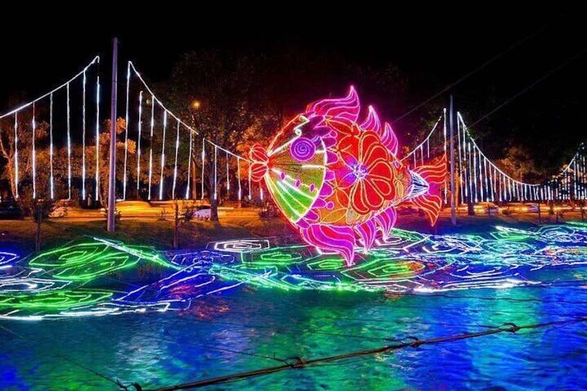 Night Tour Christmas Lights in Medellin