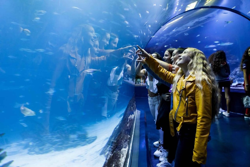 Picture 1 for Activity Madrid: Atlantis Aquarium Entry Ticket