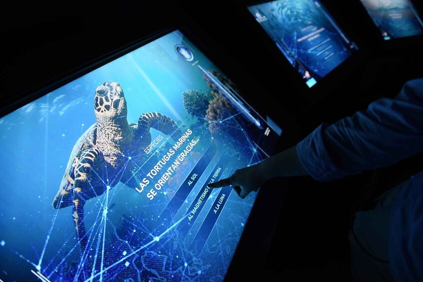Picture 6 for Activity Madrid: Atlantis Aquarium Entry Ticket