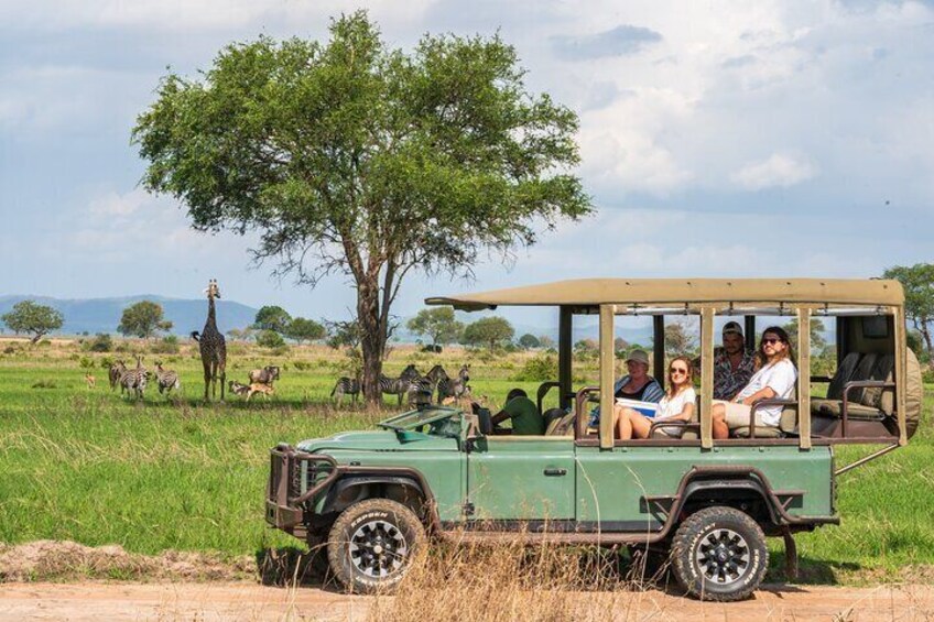 Mikumi Luxury Day Safari with Photographer