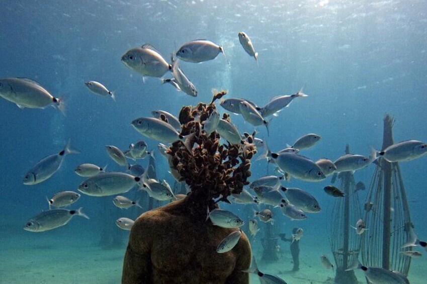Musan Scuba Diving Private Adventure